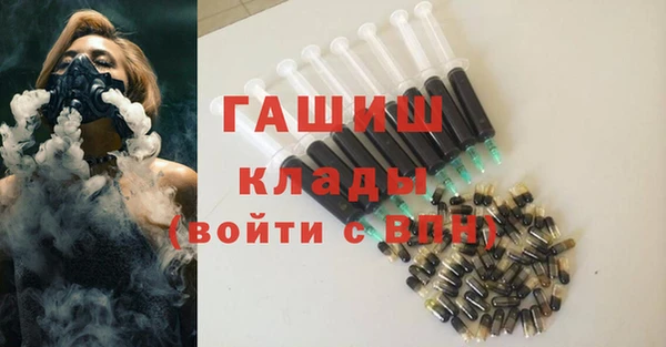 МДПВ Пересвет