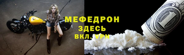 МДПВ Пересвет
