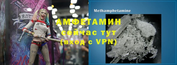 МДПВ Пересвет