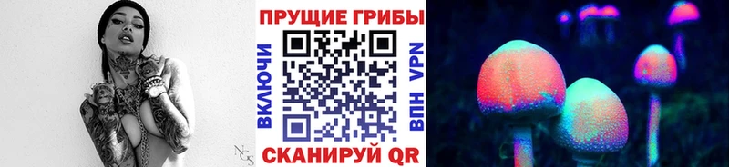 Галлюциногенные грибы Magic Shrooms  где найти наркотики  Новотитаровская 